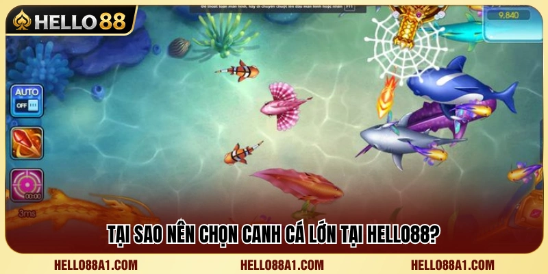 Vì sao nhiều người chơi ưu tiên nhắm mục tiêu cá lớn?
