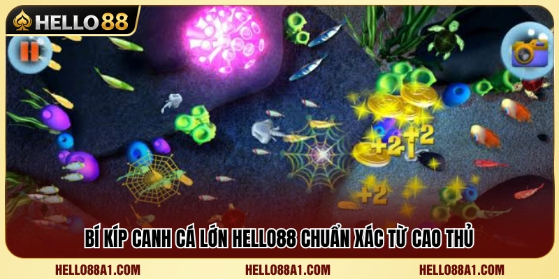 Kinh nghiệm săn cá lớn Hello88 hiệu quả từ người chơi lâu năm