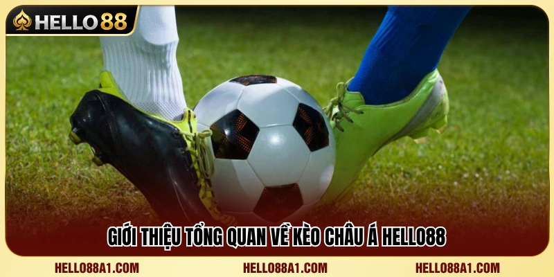 Tìm hiểu cơ chế hoạt động của kèo Châu Á Hello88