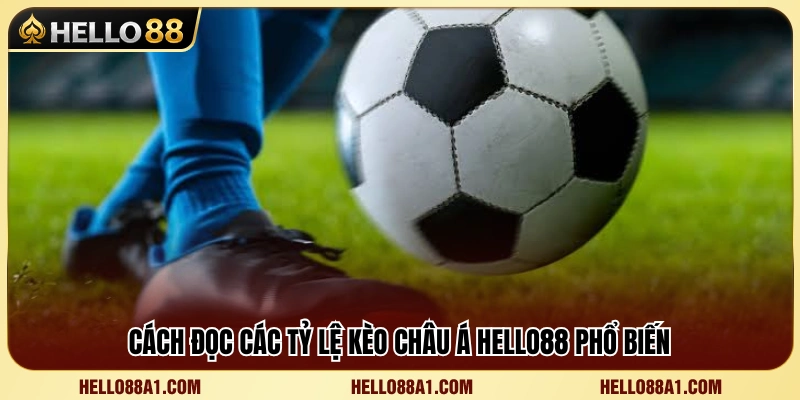 Cách hiểu tỷ lệ kèo Châu Á dành cho người mới