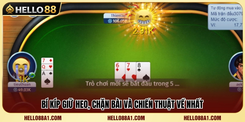 Kinh nghiệm giữ heo hiệu quả để tối ưu lợi thế